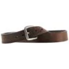 Ariat Men's Dark Brown Belt 1 Ariat Men's Dark Brown Belt -Ariat A10004630